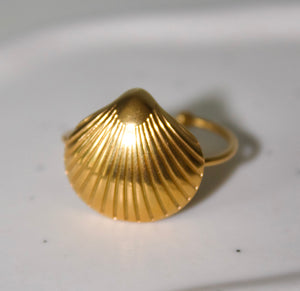 Shell ring