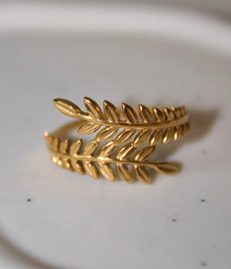 Hojitas Ring