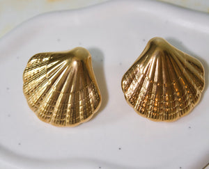 Seashells earrings