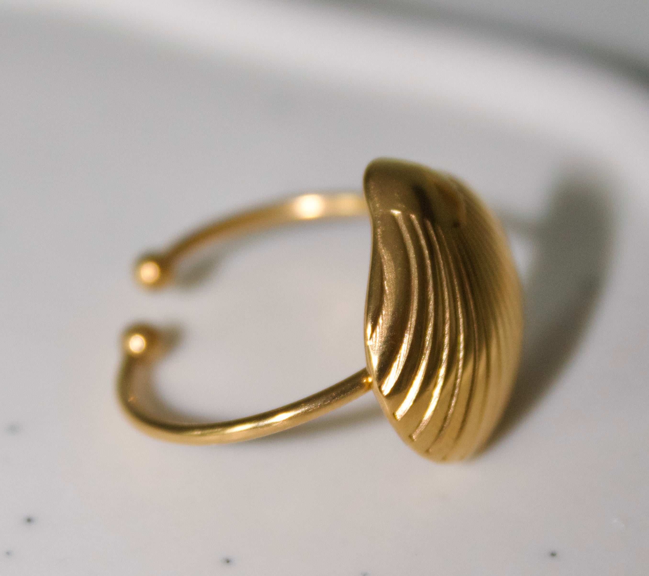 Shell ring