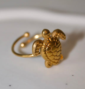 Tiny Turtle