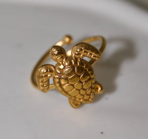 Tiny Turtle